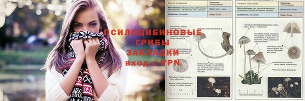 a pvp Алексин