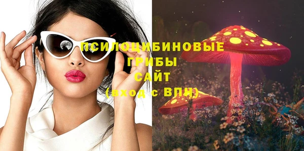 a pvp Алексин