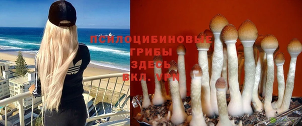 марки nbome Алексеевка