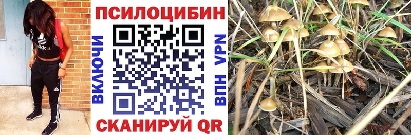 купить наркотики цена Первоуральск Галлюциногенные грибы прущие грибы